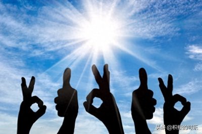 ​《秘密》解码：掌握吸引力法则，塑造你的积极现实