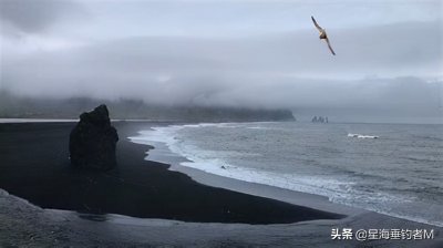 ​《七子之歌》的七子指