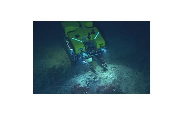 食盐有保质期吗（食盐有保质期吗一般保质期多少年）