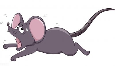 ​聊斋故事《阿纤》给弟弟求了一门好亲事，却不知对方是鼠妖