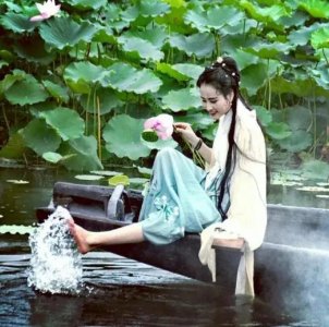 ​聊斋故事：荷花三娘子