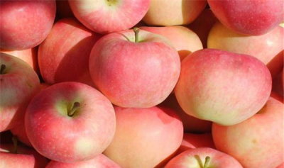 ​苹果和桃子能所有吃吗
