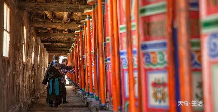 藏族人有什么风俗