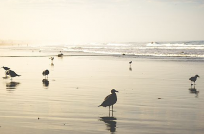 ​阿拉丁神灯儿童故事45篇