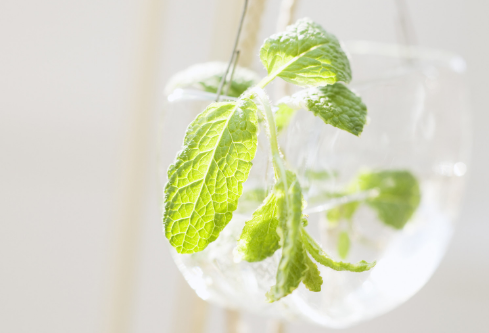 1688159705318705.png image.png