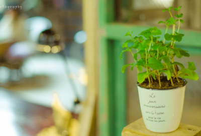 ​睡前故事白马王子27篇