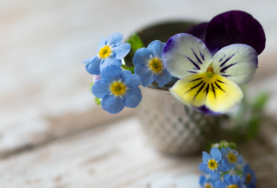 ​给媳妇讲的睡前故事24篇