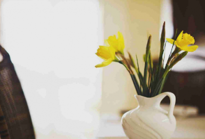 ​适合情侣讲的睡前故事26篇