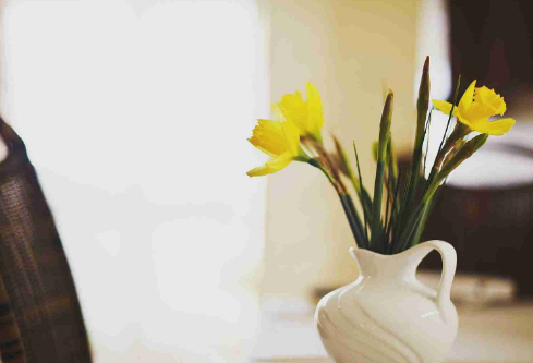 1688167259181187.png image.png