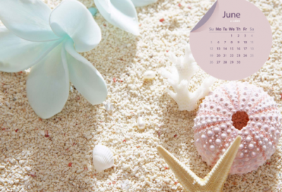 ​猫咪故事睡前故事21篇