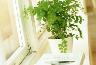 ​儿童故事鳄鱼拔牙25篇