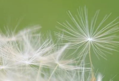 ​伊索寓言儿童故事34篇