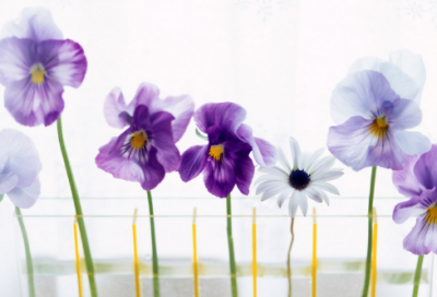 ​宝宝巴士儿童睡前故事27篇