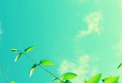 1688170692498098.png image.png