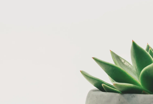 1688170864262564.png image.png