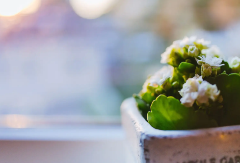 1688174127890739.png image.png