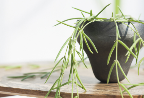 1688175156846193.png image.png