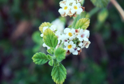 1688176015169076.png image.png