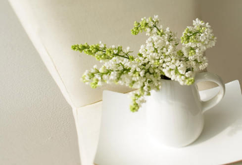 1688176702845882.png image.png