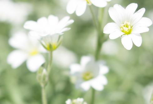 1688179619515529.png image.png