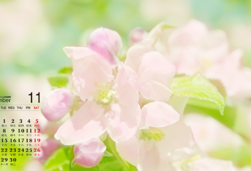 1688180649448830.png image.png