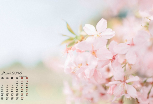 1688180992514795.png image.png