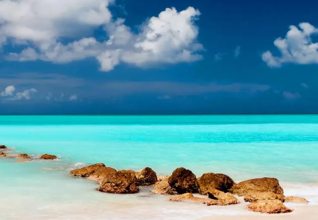 1695448648124605.png image.png