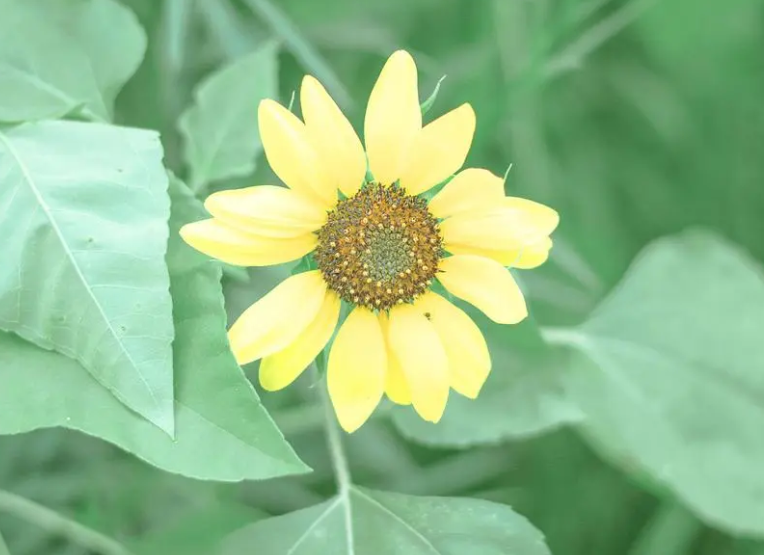 1695448762451871.png image.png