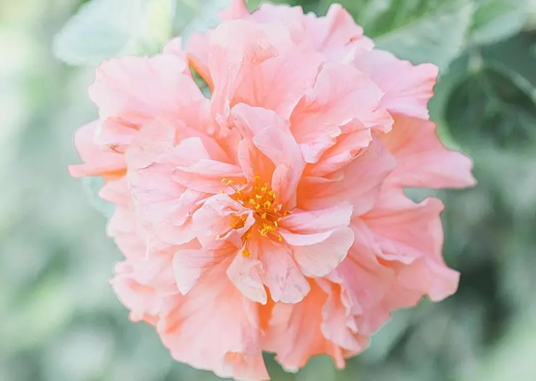 1695448795138245.png image.png