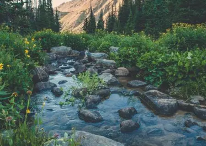 1695448895297642.png image.png