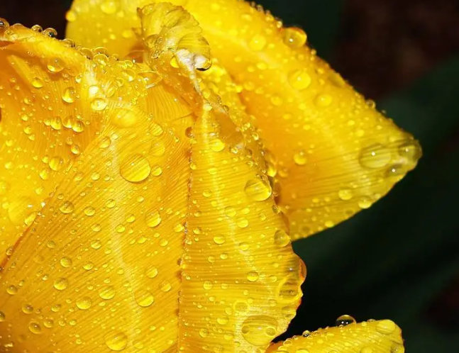 1695449008202693.png image.png