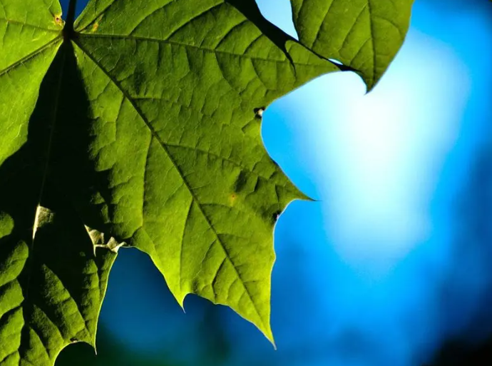 1695449024698467.png image.png