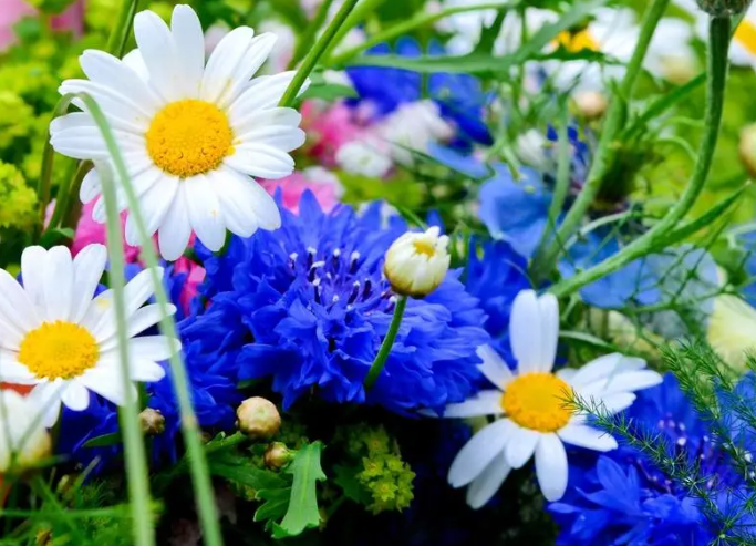 1695449244547462.png image.png