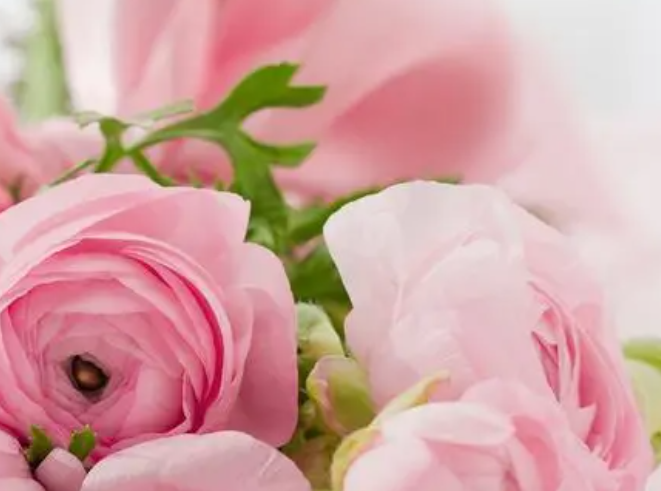 1695454654912641.png image.png