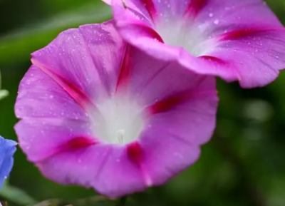 ​钱学森的夫人蒋英的爱情故事