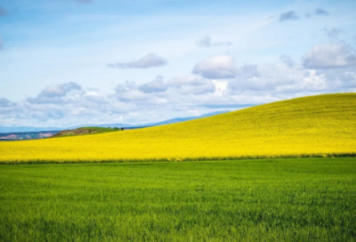 ​成功人士的创业励志故事三则