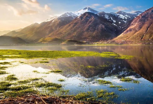 1695456006645708.png image.png