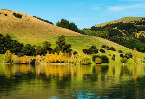 1695456072758485.png image.png