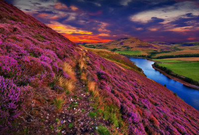 ​吴国贤主孙权的故事 解密孙权射虎?的传说