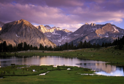 ​忠犬八公的故事观后感