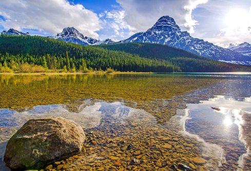 1695456338866790.png image.png