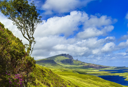 1695456470170537.png image.png