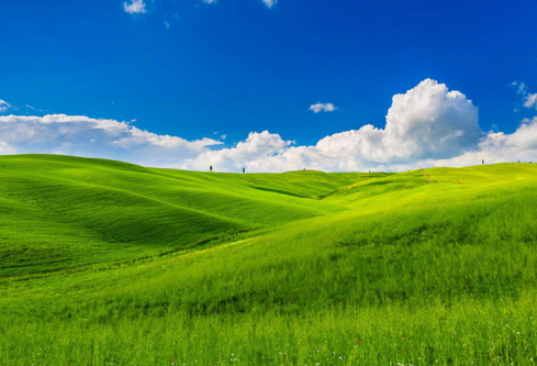 1695456536721813.png image.png