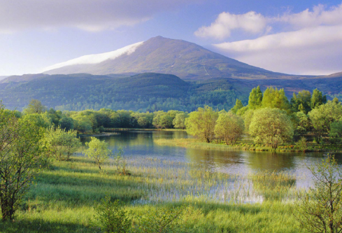 1695456802253366.png image.png