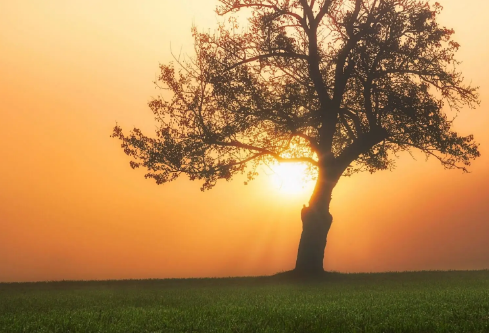 1695456934157553.png image.png