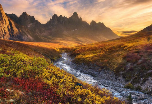 1695457138155887.png image.png