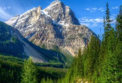 1695457403627905.png image.png