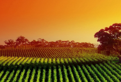 ​张骞班超和丝绸之路的故事