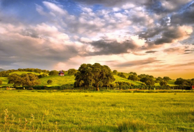 ​杜心五为什么被称为南北大侠 有什么故事