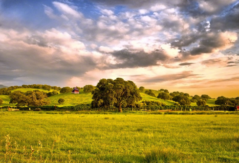 1695457867302066.png image.png